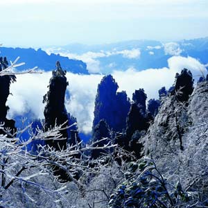 LD線：張家界、天子山、楊家界、猛洞河漂流純玩四日游