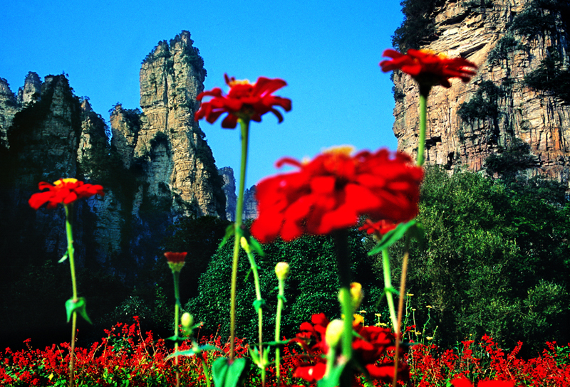 LF線：張家界國(guó)家森林公園、猛洞河漂流、鳳凰古城純玩自助五日游